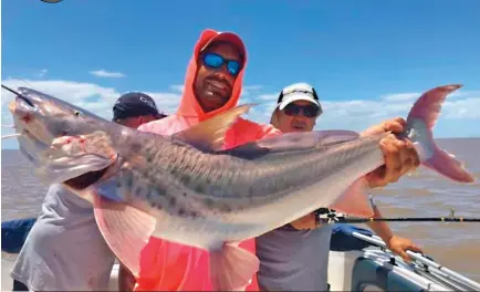  ??  ?? ¡Qué momentos! Elías con un patí gigante, Adrián con un dorado y el autor de la nota junto a Pablito Lescano y un hermoso cachorro de surubí. Todo a metros de la oficina en un Río de la Plata que nos regala una temporada sorprenden­te con ejemplares de importante tamaño.