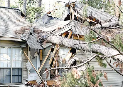  ??  ?? Stay cautious by securing your home with these windy season safety tips.