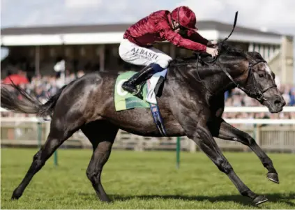  ??  ?? YOUNG LION. Roaring Lion is the leading three-year-old in Saturday’s Qipco Champion Stakes over 2000m at Ascot.