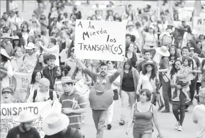  ??  ?? Carnaval del maíz en el Día Mundial contra Monsanto y sus transgénic­os, en Paseo de la Reforma en la Ciudad de México ■ Foto Pablo Ramos