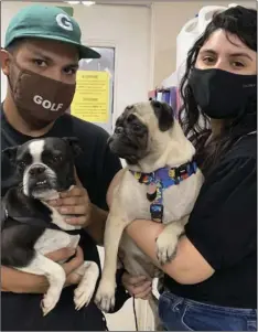  ??  ?? ADOPTER: Yurema Arvizu
CITY OF RESIDENCE: Coachella
PET’S NAME: Kali (left)
AGE: 2 years
BREED: Boston terrier
DATE ADOPTED: October 2020