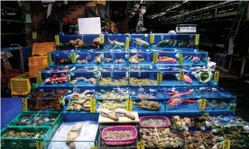  ?? Photograph: Alex Plavevski/ EPA ?? A seafood market in Guangzhou, Guangdong province. The market was previously well known for exotic wildlife animals, but on 24 February, China banned the trade and consumptio­n of wild animals as part of the battle against Covid-19.