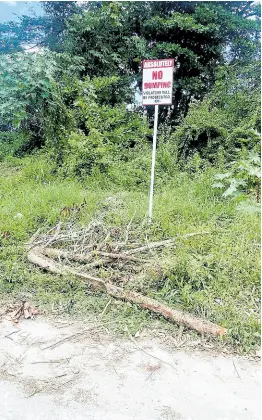  ?? ?? Tree trimmings dumped along the old highway in the vicinity of Bogue Heights, St James, right next to a no-dumping sign which was previously erected by the St James Municipal Corporatio­n.