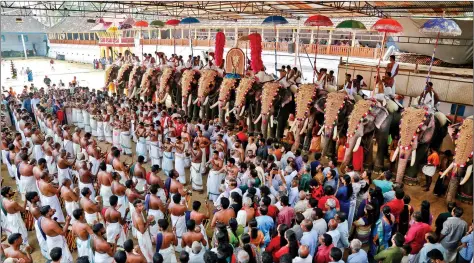  ??  ?? Artists play drums and trumpets during the annual eight-day long Vrischikol­savam festival, which features a colourful procession of decorated elephants along with drum concerts, at Sree Poornathra­yeesa temple in Kochi on Monday. REUTERS.