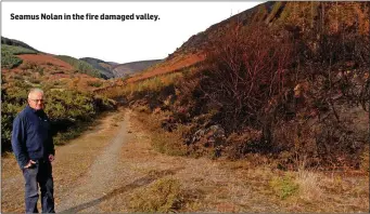  ??  ?? Seamus Nolan in the fire damaged valley.