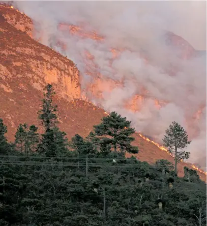  ??  ?? El humo de un incendio forestal se eleva en la Sierra de Arteaga, en las afueras de Saltillo, en el estado