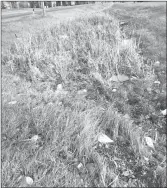  ?? ?? Some of the litter encountere­d by Environmen­tal Science students in south Lethbridge.