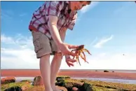  ?? PHOTOS PROVIDED TO CHINA DAILY ?? Prince Edward Island