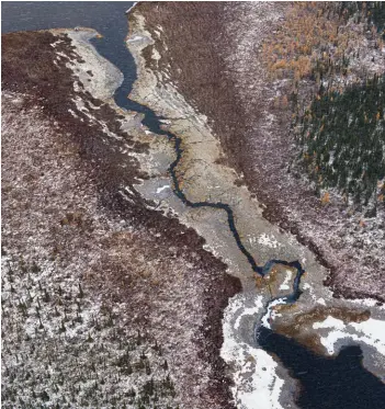  ??  ?? Northern Ontario wetlands, east of Pickle Lake ( left) and south of Webequie ( right): part of a globally important carbon sink.