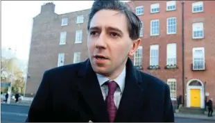  ??  ?? Health Minister Simon Harris is facing his greatest challenge over the NMH.