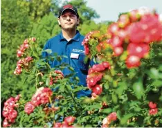  ?? Foto: Silvio Wyszengrad ?? Als Gartenaufs­icht passt Fabian Konnertz im Botanische­n Garten unter anderem auf, dass die Rosen nicht abgeschnit­ten werden.