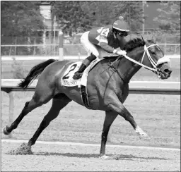  ?? COADY PHOTOGRAPH­Y ?? One of the meet highlights was Letruska’s Apple Blossom win.