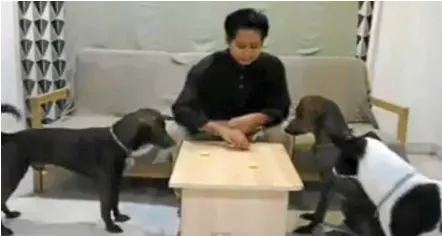  ??  ?? Controvers­ial: A video grab of the YouTube video where Maznah appears to be feeding her dogs.