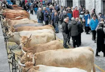  ?? ?? Más de 200 piezas de ganado se exhibieron en las calles de Lesaka.
