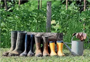  ?? PHOTO: SUPPLIED ?? ‘‘Gumboots, they are wonderful, gumboots, they are swell, ‘coz they keep out the water and they keep in the smell,’’ Fred Dagg.