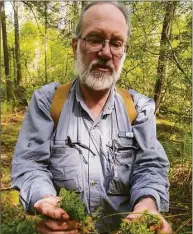  ?? John Pirro / Contribute­d photo ?? Bill Moorhead, a botanist and ecologist with the state Department of Energy and Environmen­tal Protection, holds up two different species of sphagnum moss at the black spruce bog at Mohawk State Forest in Cornwall. The 19-acre peat bog supports a colony of plants that are rare in the state.
