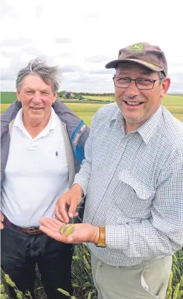  ??  ?? Banchory Farm owner Jimmy Cochrane, left, has been looking over the parched crops with farm manager Craig Norrie.