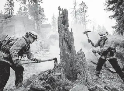  ?? FOTO PROFIMEDIA ?? Mimořádně vysoké teploty pomohly loni rozpoutat rozsáhlé lesní požáry. Například i v americké Kalifornii (na snímku).
