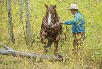  ??  ?? Learn to send your horse over an obstacle rather than leading him over it to keep him from lunging on top of you.