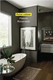  ??  ?? Paint colour Plascon Rhinecastl­e