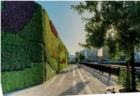  ??  ?? Dubai Properties unveils the Middle East’s largest living green wall — 210m long and 6m high — at Dubai Wharf.