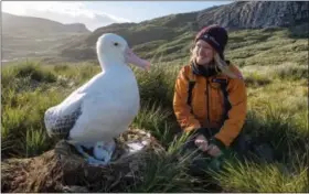  ??  ?? Every year, around 8 million metric tons of plastic waste enters the ocean. On the remote island of South Georgia, in the Southern Ocean, scientists from the British Antarctic Survey have discovered that adult wandering albatrosse­s are inadverten­tly...