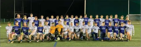  ??  ?? The Wicklow Minor panel ahead of their clash with Dublin last week.