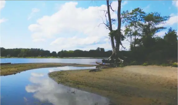  ?? RaNDY BOSWELL ?? At one time, Kettle Island was touted as “Ottawa's Coney Island” for its amusement park and cottages. Today, a semi-flooded beach at Duval Point shows no signs of the past.