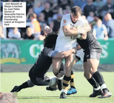  ??  ?? Josh Bassett of Wasps is tackled by Juan Pablo Socino of Newcastle Falcons during the Aviva Premiershi­p match at Kingston Park