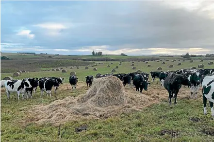  ?? ?? The changes will help protect the soil and waterways by placing greater importance on paddock selection and ensuring land was suitable for winter forage crops.