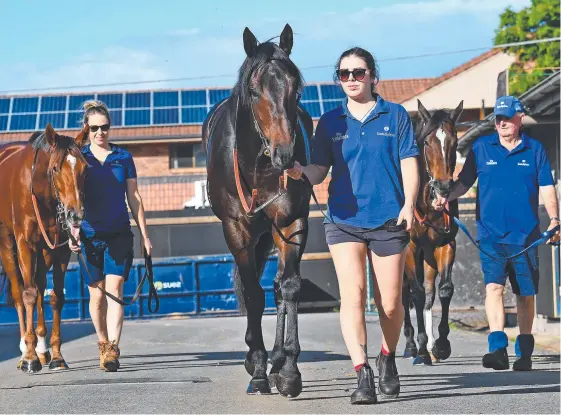  ?? Picture: JOHN GASS/AAP IMAGE ?? Lucy Keegan-Attard with Home of the Brave, Jess Hugo with Encryption and George Reid with Trekking at Eagle Farm.