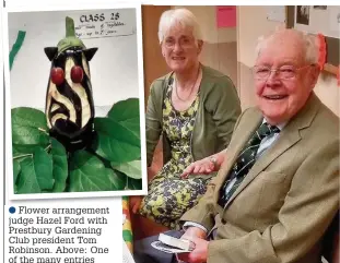  ??  ?? ●● Flower arrangemen­t judge Hazel Ford with Prestbury Gardening Club president Tom Robinson. Above: One of the many entries