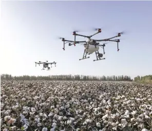  ?? FW ARCHIVE ?? Although artificial intelligen­ce has been hailed as a way to revolution­ise global agricultur­e, there are various risks to consider.