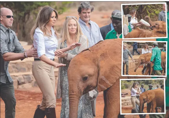  ??  ?? A US Secret Service Agent helps to steady US First Lady Melania Trump after she got bumped by a baby elephant at an Orphanage in Nairobi