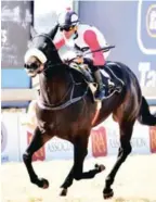  ?? JC PHOTOGRAPH­ICS ?? Three-year-old gelding Action Packed, trained by Johan Janse van Vuuren, seems the most likely to claim victory in Race 5 today. /