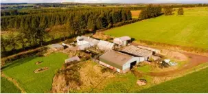  ??  ?? In the mix: The 79ac residentia­l farm holding at Araglin, Co Cork includes 12ac in forestry