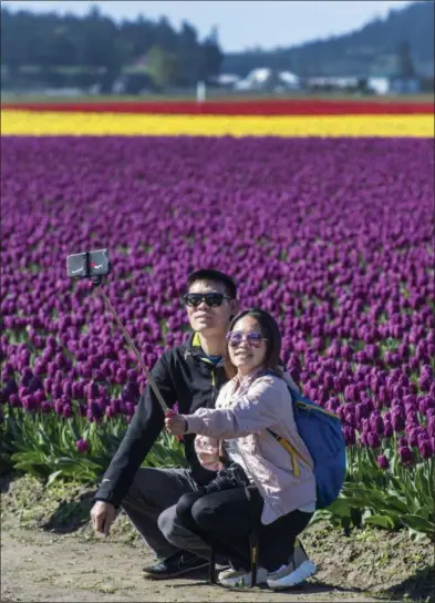  ??  ?? ABOVE: A couple takes a selfie near rows of purple flowers. The tulip festival is held every April.