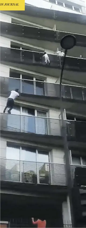  ?? @ADIL__BROWN/TWITTER ?? Mamoudou Gassama, a migrant from Mali, nimbly scales a Paris building Saturday to save a young child dangling from a balcony, in a feat that captivated France.