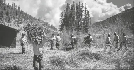  ?? JIM WEBER/SANTA FE NEW MEXICAN/AP ?? FIREFIGHTE­RS WITH STRUCTURE GROUP 4 clear brush and debris away from cabins along Highway 518 near the Taos County line in New Mexico on Friday while fire rages over the nearby ridge.