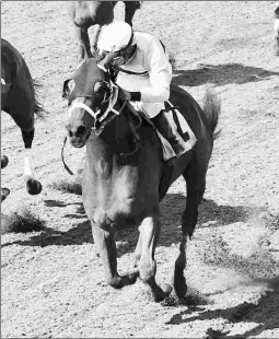  ?? COADY PHOTOGRAPH­Y ?? Shrewd Move, shown winning the Paul Bunyan Stakes at Canterbury Park in May, has 3 wins in 8 starts this year.