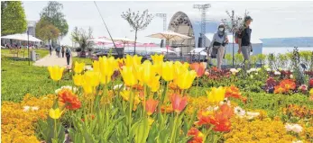  ?? FOTO: BARBARA BAUR ?? Tulpen bringen im Landesgart­enschau-frühling 2021 viel Farbe ans Überlinger Ufer.