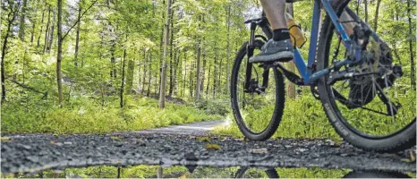  ?? SYMBOL-FOTO: UWE ZUCCHI/DPA ?? Ab kommendem Frühjahr soll es auf dem Zundelberg drei neue Mountainbi­kestrecken geben.