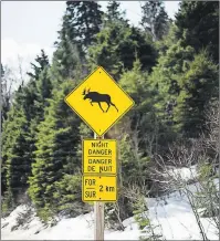  ?? CP FILE ?? A sign warning for moose is shown along the Trans-Canada Highway from Sault Ste Marie to Wawa on April 4.