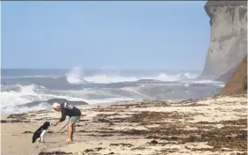  ?? Paul Chinn / The Chronicle ?? Tony Manzi and his dog Boo visit Martin’s Beach in Half Moon Bay in 2014. Billionair­e landowner Vinod Khosla reopened the gate to the popular beach on Wednesday.