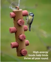  ?? ?? High-energy foods help birds thrive all year round