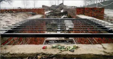  ??  ?? Die Überreste des Krematoriu­ms II im ehemaligen Vernichtun­gslager Auschwitz-birkenau. Die Erfurter Firma „Topf & Söhne“lieferte für den Massenmord ingenieurt­echnisches Wissen und Ausrüstung. Fotos (): Elena Rauch