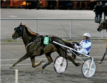  ?? Bild: LARS B PERSSON ?? INGVES FLYGER LÅGT. Peter Ingves var i strålande form och en av hans fyra segrar på hemmabanan kom med treåriga talangen Dali Pagadi som var klart bäst i Euro Classic Trot.