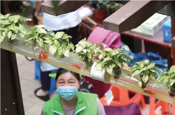  ??  ?? A fish-and-plant system is installed at Wanyuan City complex. — Dong Jun