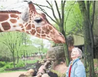  ?? HOT DOCS ?? Anne Innis Dagg, featured in the documentar­y The Woman Who Loves Giraffes, is a Torontonia­n and a pioneer in animal research.