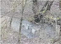  ??  ?? Shopping trolleys in the Bollin River